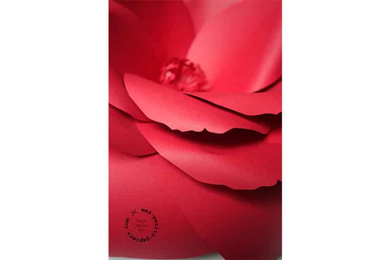 mes-petits-papiers-fleur-mur-xxl-rouge-(3)